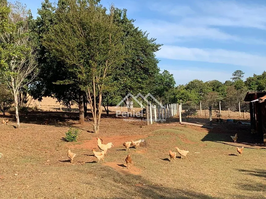 Foto 1 de Fazenda/Sítio com 4 Quartos à venda, 1200m² em Zona Rural, Cajuru