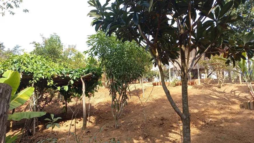 Foto 1 de Fazenda/Sítio com 1 Quarto à venda, 1000m² em Costas, Crucilândia