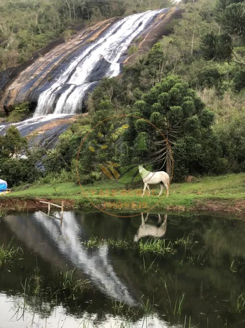 Foto 1 de Fazenda/Sítio com 3 Quartos à venda, 68m² em Centro, Carvalhos