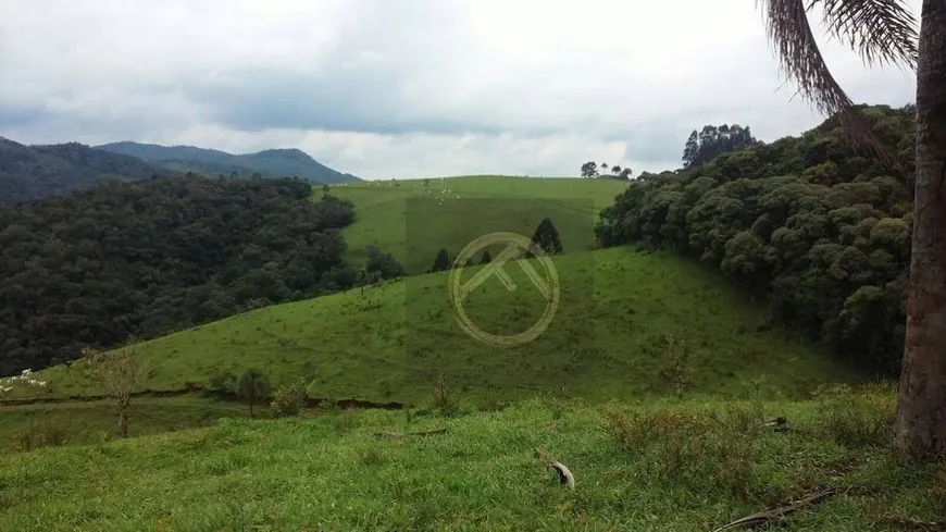 Foto 1 de Fazenda/Sítio à venda, 4912600m² em , Nova Laranjeiras