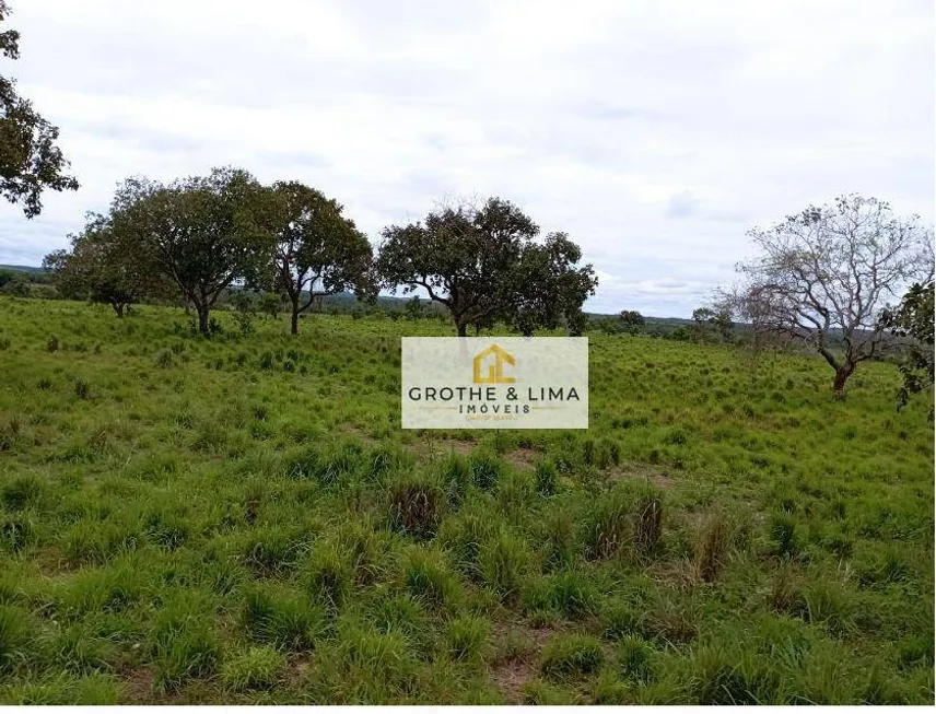 Foto 1 de Fazenda/Sítio com 10 Quartos à venda, 800m² em Vila Cearense, Araguaína