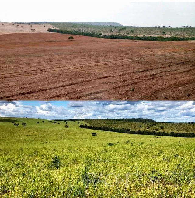 Foto 1 de Fazenda/Sítio com 8 Quartos à venda, 18420000m² em Zona Rural, Darcinópolis