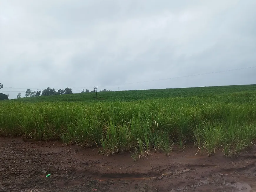 Foto 1 de Fazenda/Sítio à venda, 181500m² em Zona Rural, Lobato