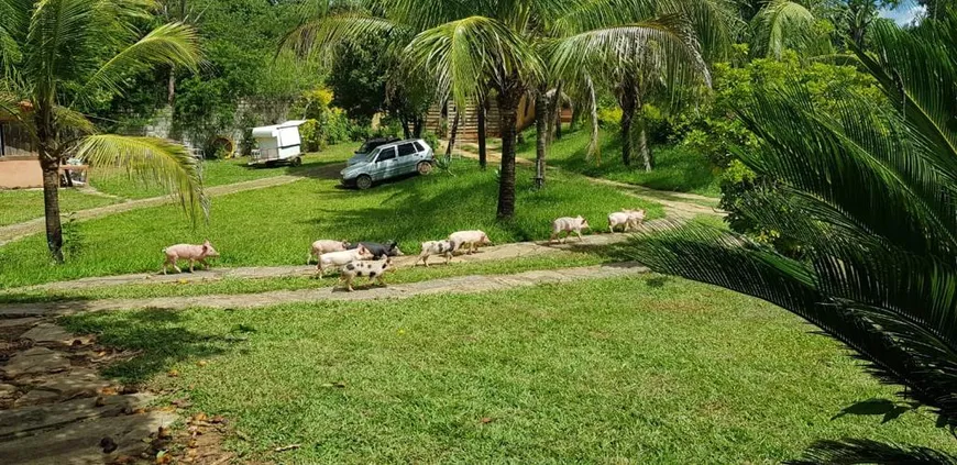Foto 1 de Fazenda/Sítio com 5 Quartos à venda, 30000m² em Silva Xavier, Sete Lagoas