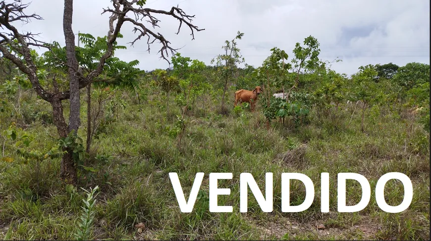 Foto 1 de Fazenda/Sítio à venda, 20000m² em Zona Rural, Corumbá de Goiás