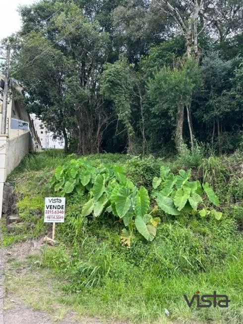 Foto 1 de Lote/Terreno à venda em Nossa Sra. das Graças, Caxias do Sul