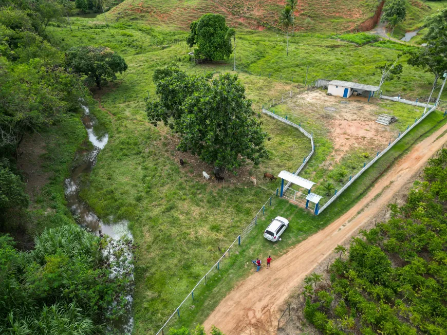 Foto 1 de Fazenda/Sítio com 1 Quarto à venda, 16000m² em , Fundão