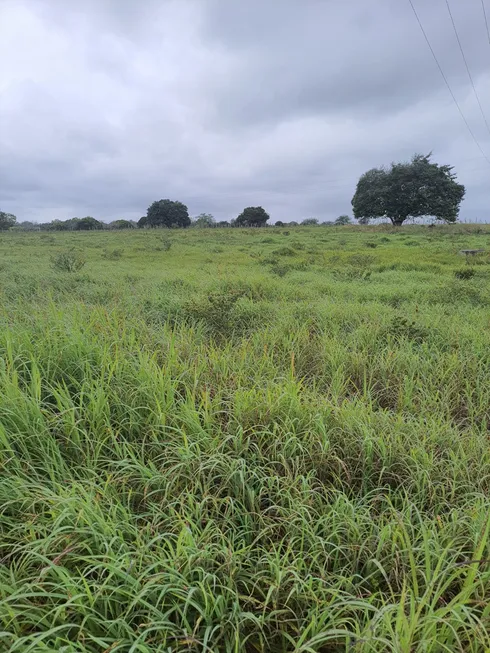 Foto 1 de Fazenda/Sítio com 3 Quartos à venda, 21600m² em Monte Alegre, Monte Alegre