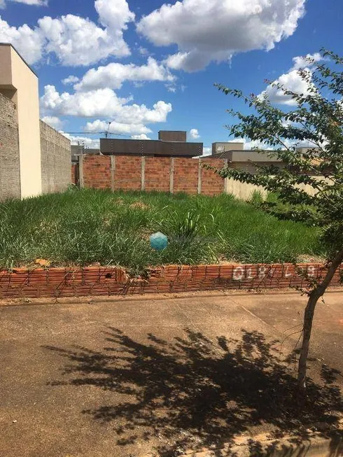 Foto 1 de Lote/Terreno à venda, 204m² em Residencial Parque dos Ipes, Mirassol