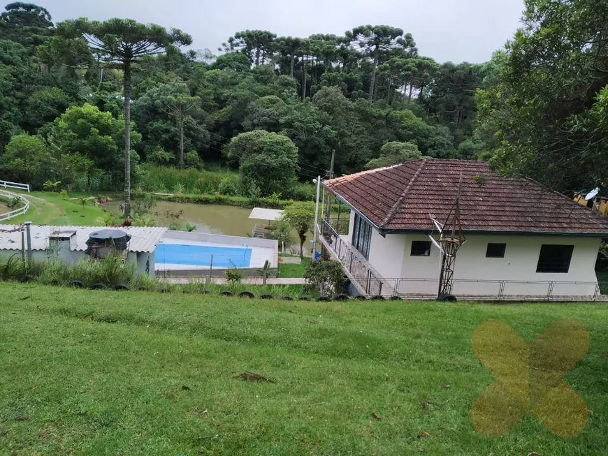 Foto 1 de Fazenda/Sítio com 3 Quartos à venda, 150m² em Cruzeiro, São José dos Pinhais
