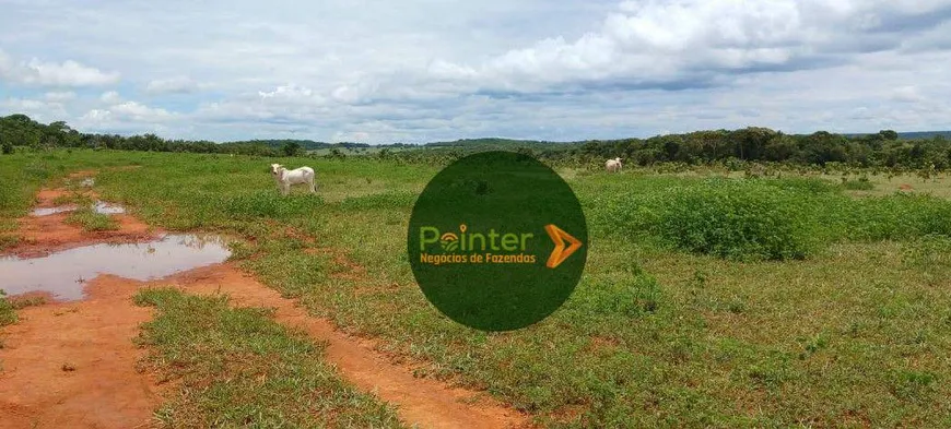 Foto 1 de Fazenda/Sítio à venda, 9170000m² em Zona Rural, Paranatinga