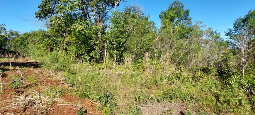 Foto 1 de Lote/Terreno à venda, 5000m² em , Picada Café