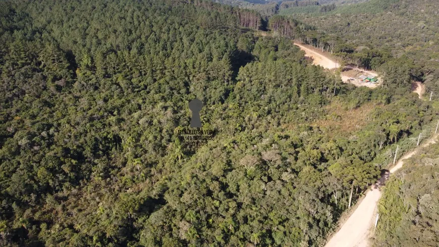 Foto 1 de Fazenda/Sítio com 1 Quarto à venda, 79000m² em Centro, Bocaiúva do Sul