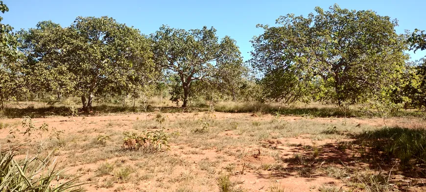 Foto 1 de Lote/Terreno à venda, 20000m² em Zona Rural, Jequitibá