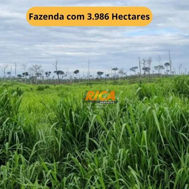 Foto 1 de Fazenda/Sítio à venda, 39860000m² em Vista Alegre do Abuna, Porto Velho