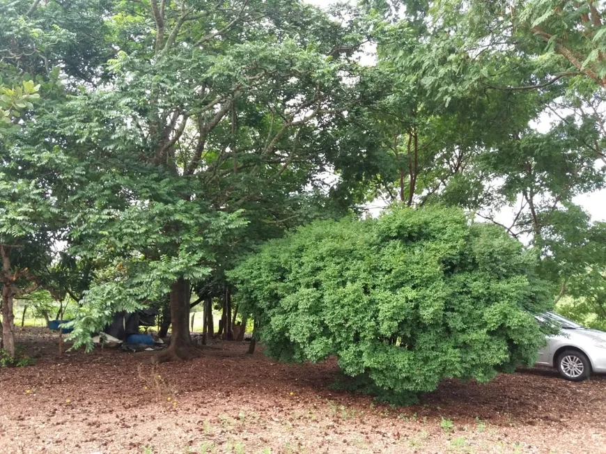 Foto 1 de Fazenda/Sítio à venda, 10m² em Centro, Silvânia