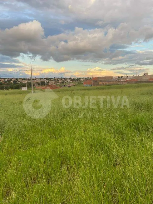 Foto 1 de Lote/Terreno à venda, 250m² em Aclimacao, Uberlândia