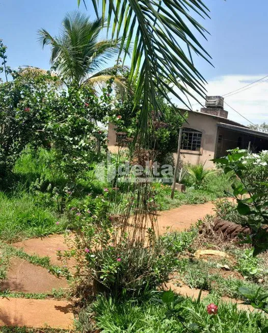 Foto 1 de Fazenda/Sítio com 3 Quartos à venda, 1m² em Area Rural de Uberlandia, Uberlândia