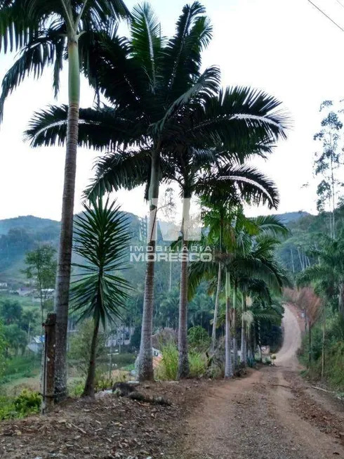 Foto 1 de Fazenda/Sítio com 3 Quartos à venda, 200m² em Planicie Alta, Guabiruba