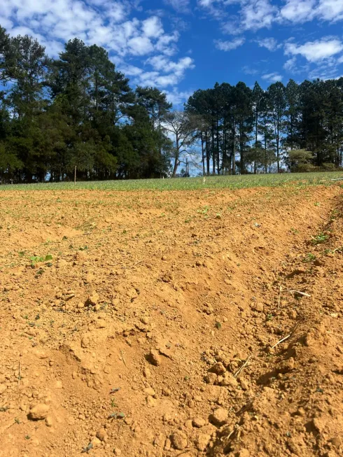 Foto 1 de Lote/Terreno à venda, 500m² em Figueira, Ibiúna