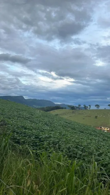 Foto 1 de Fazenda/Sítio à venda, 80m² em , Lambari