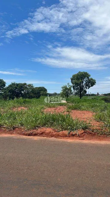 Foto 1 de Lote/Terreno à venda, 250m² em Loteamento Luizote IV, Uberlândia