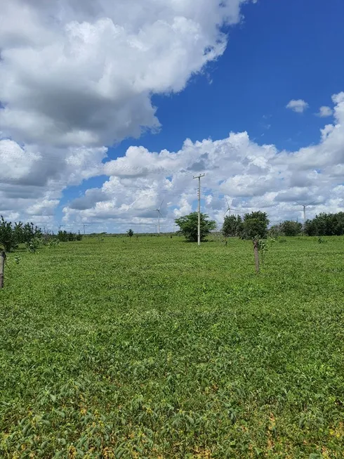 Foto 1 de Fazenda/Sítio à venda, 450000m² em , Jandaíra