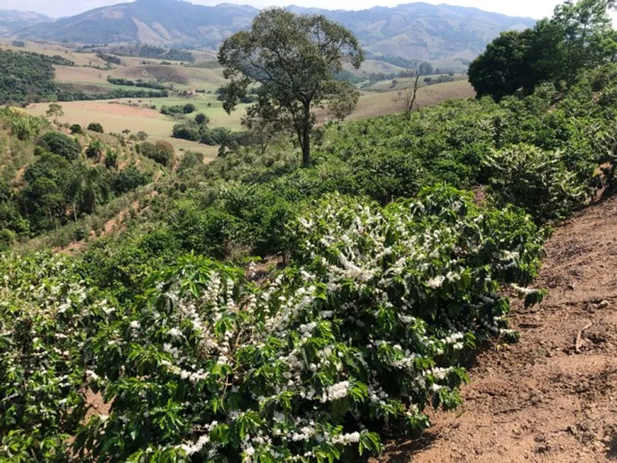 Foto 1 de Fazenda/Sítio com 1 Quarto à venda, 10m² em Zona Rural, Ouro Fino