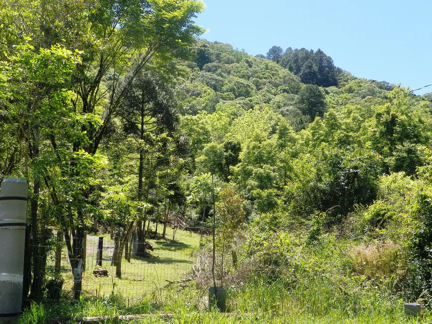 Foto 1 de Fazenda/Sítio à venda, 48500m² em Vila Germania, Nova Petrópolis