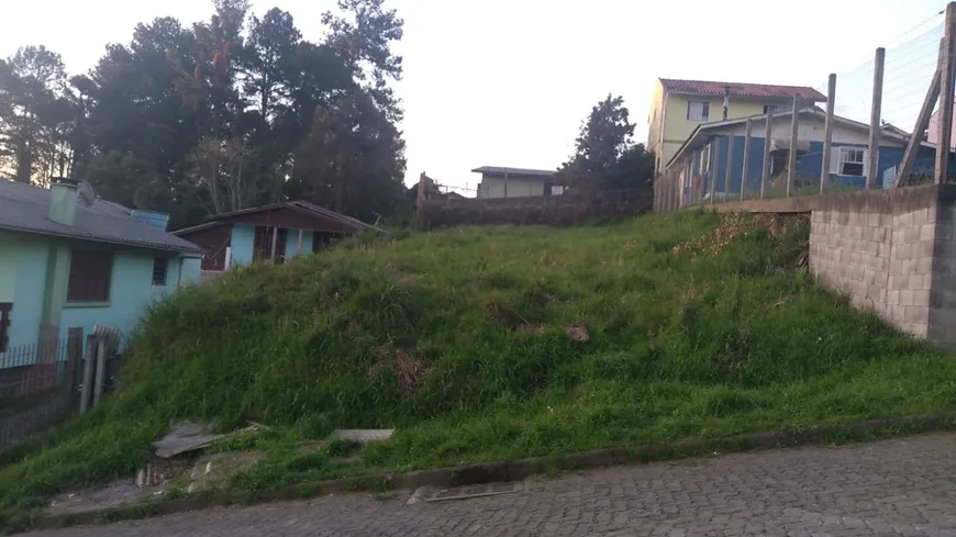 Foto 1 de Lote/Terreno à venda, 374m² em Sao Caetano, Caxias do Sul