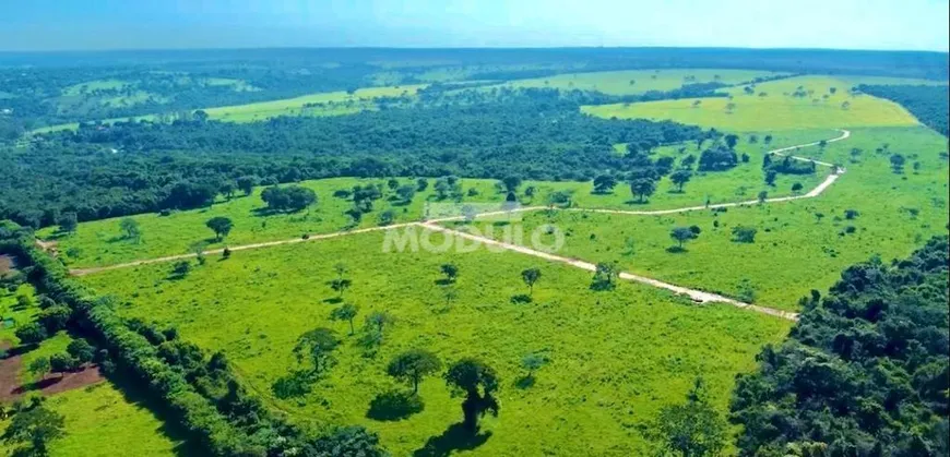 Foto 1 de Fazenda/Sítio com 1 Quarto à venda, 20000m² em Chácaras Eldorado, Uberlândia