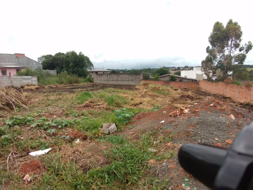 Foto 1 de Lote/Terreno à venda, 560m² em Uvaranas, Ponta Grossa