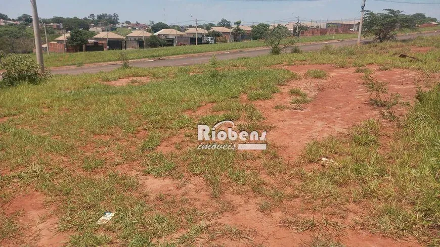 Foto 1 de Lote/Terreno à venda, 306m² em Residencial Cidade Alta, São José do Rio Preto