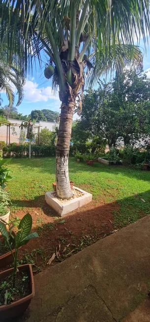 Foto 1 de Fazenda/Sítio com 3 Quartos à venda, 50m² em Jardim Curitiba, Goiânia