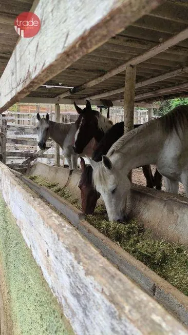 Foto 1 de Fazenda/Sítio com 8 Quartos à venda, 60000m² em , Itatiaiuçu