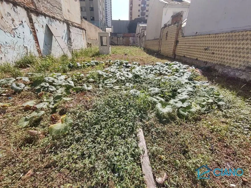 Foto 1 de Lote/Terreno para venda ou aluguel, 500m² em Vila Bertioga, São Paulo