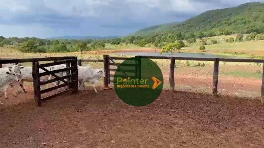 Foto 1 de Fazenda/Sítio à venda, 1480000m² em Zona Rural, Porangatu