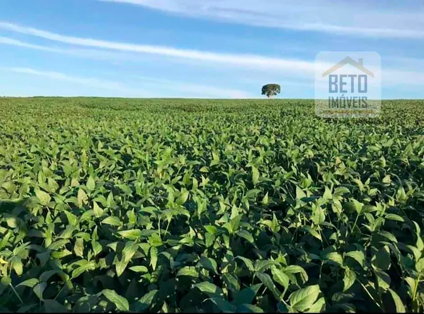 Foto 1 de Fazenda/Sítio à venda, 62920000m² em Zona Rural, Piracicaba