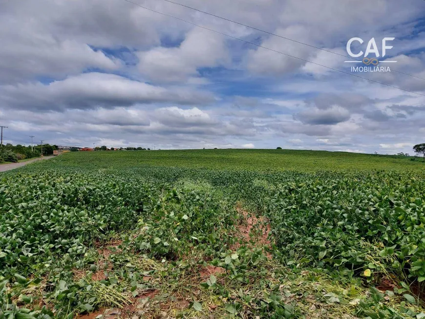 Foto 1 de Fazenda/Sítio à venda, 100000m² em Parque dos Ipês, Holambra