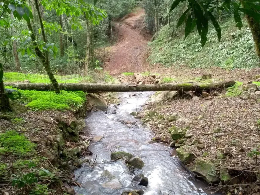 Foto 1 de Fazenda/Sítio com 2 Quartos à venda, 155m² em Vila Germania, Nova Petrópolis