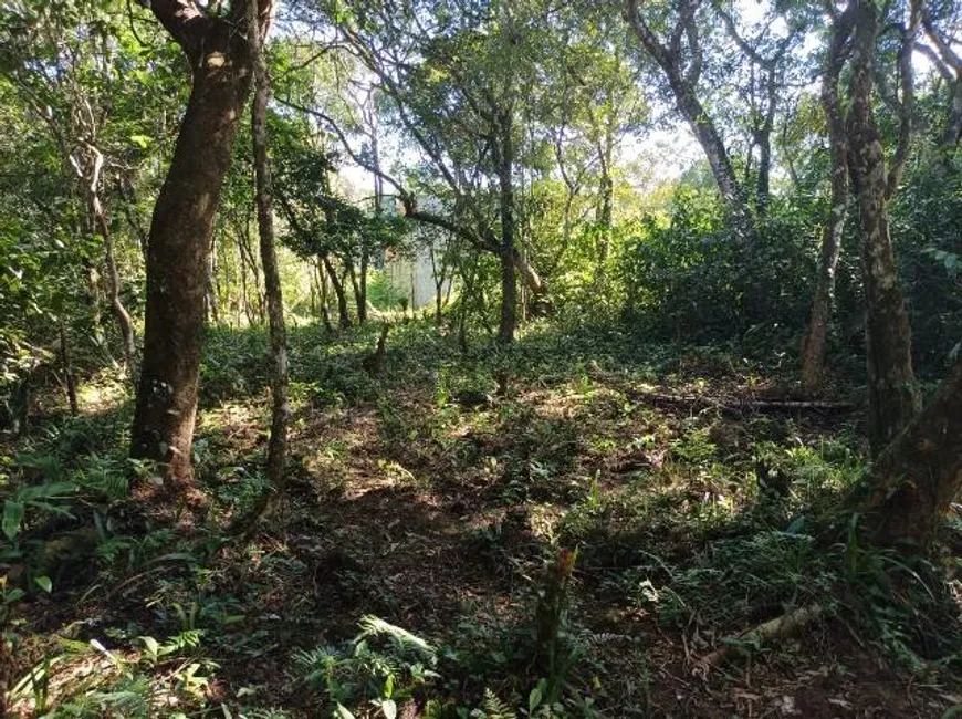 Foto 1 de Lote/Terreno à venda, 181m² em Jardim Maramba, Itanhaém