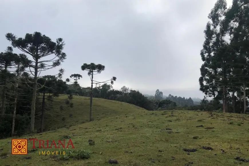 Foto 1 de Lote/Terreno à venda, 120000m² em , Rio Rufino