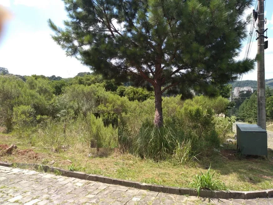 Foto 1 de Lote/Terreno à venda em São Luiz, Caxias do Sul