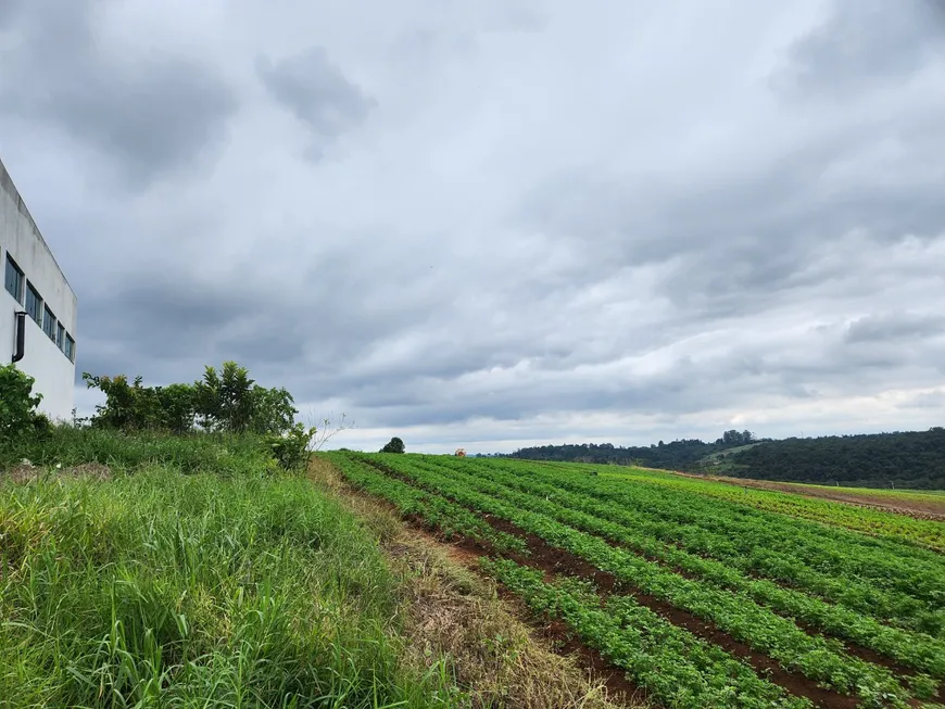 Foto 1 de Lote/Terreno com 1 Quarto à venda, 1000m² em , Ibiúna