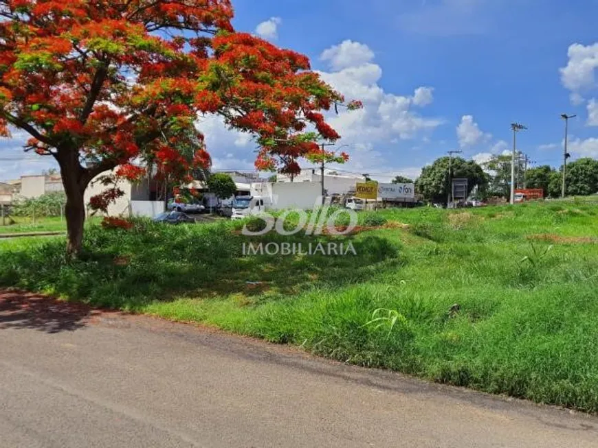 Foto 1 de Lote/Terreno à venda, 480m² em Santa Luzia, Uberlândia