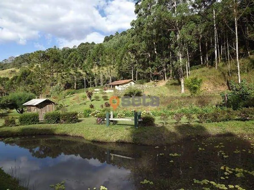 Foto 1 de Fazenda/Sítio com 3 Quartos à venda, 500m² em , 