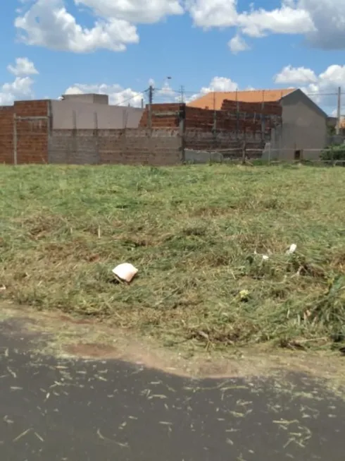 Foto 1 de Lote/Terreno à venda, 200m² em Residencial São Thomaz, São José do Rio Preto