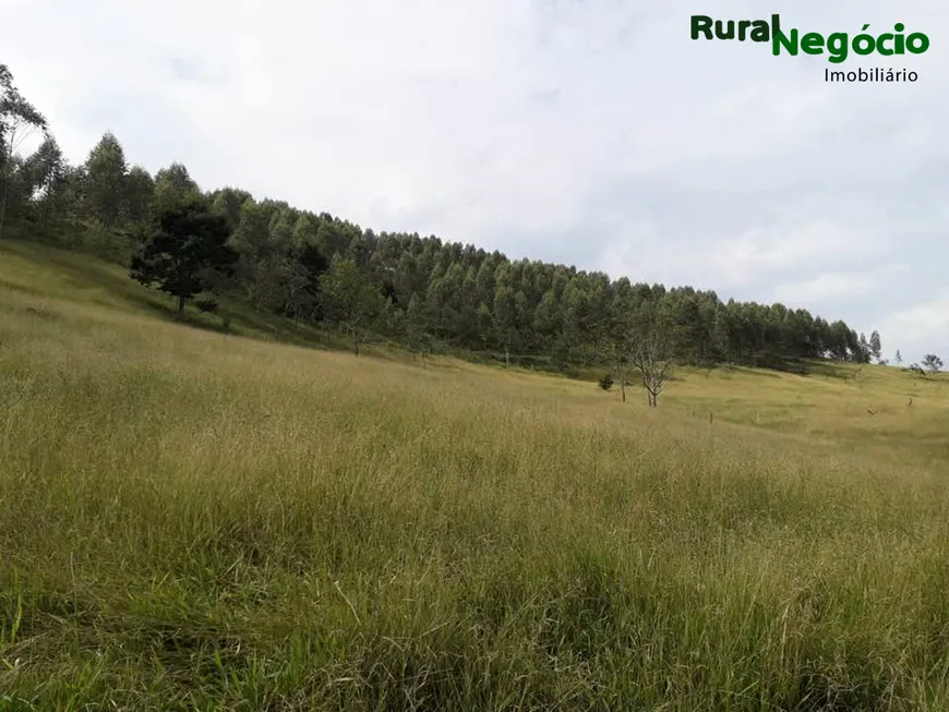 Foto 1 de Fazenda/Sítio com 4 Quartos à venda, 435000m² em Centro, Cunha