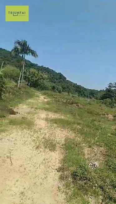 Foto 1 de Fazenda/Sítio à venda, 145200m² em Zona Rural, Juquiá