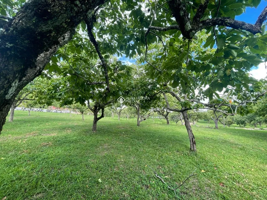 Foto 1 de Lote/Terreno à venda, 4502m² em Mato Queimado, Gramado